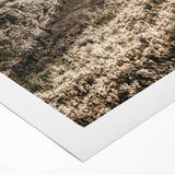 Farmhouse Wall Art: Sunlit Vineyard Rows, Rustic Country Charm Decor