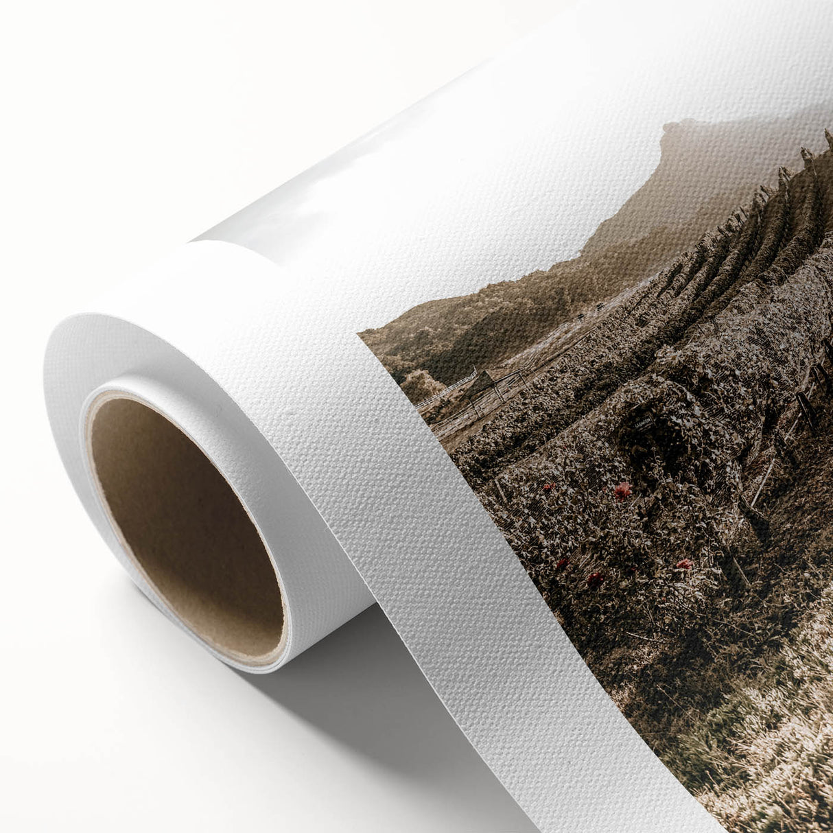 Farmhouse Wall Art: Sunlit Vineyard Rows, Rustic Country Charm Decor