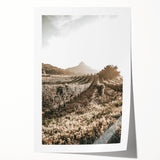 Farmhouse Wall Art: Sunlit Vineyard Rows, Rustic Country Charm Decor