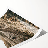 Farmhouse Wall Art: Sunlit Vineyard Rows, Rustic Country Charm Decor