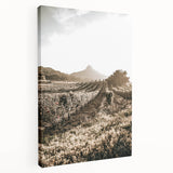 Farmhouse Wall Art: Sunlit Vineyard Rows, Rustic Country Charm Decor