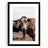 Farmhouse Wall Art: Rustic Cow Portrait, Country Livestock Decor