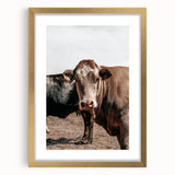 Farmhouse Wall Art: Rustic Cow Portrait, Country Livestock Decor
