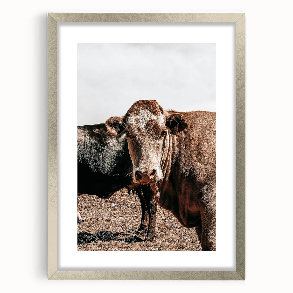 Farmhouse Wall Art: Rustic Cow Portrait, Country Livestock Decor