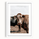 Farmhouse Wall Art: Rustic Cow Portrait, Country Livestock Decor