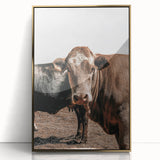 Farmhouse Wall Art: Rustic Cow Portrait, Country Livestock Decor