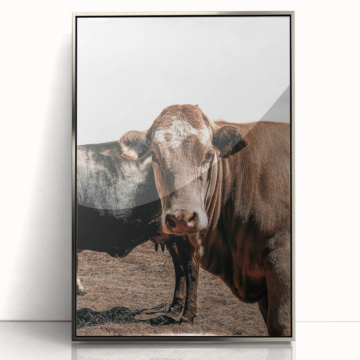 Farmhouse Wall Art: Rustic Cow Portrait, Country Livestock Decor