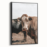 Farmhouse Wall Art: Rustic Cow Portrait, Country Livestock Decor