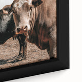 Farmhouse Wall Art: Rustic Cow Portrait, Country Livestock Decor