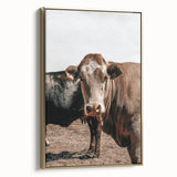 Farmhouse Wall Art: Rustic Cow Portrait, Country Livestock Decor