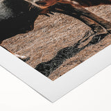 Farmhouse Wall Art: Rustic Cow Portrait, Country Livestock Decor