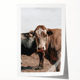 Farmhouse Wall Art: Rustic Cow Portrait, Country Livestock Decor