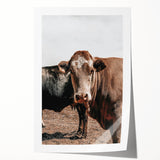 Farmhouse Wall Art: Rustic Cow Portrait, Country Livestock Decor