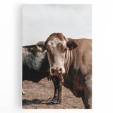 Farmhouse Wall Art: Rustic Cow Portrait, Country Livestock Decor