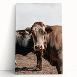 Farmhouse Wall Art: Rustic Cow Portrait, Country Livestock Decor