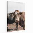 Farmhouse Wall Art: Rustic Cow Portrait, Country Livestock Decor