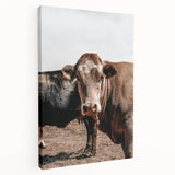 Farmhouse Wall Art: Rustic Cow Portrait, Country Livestock Decor
