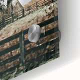 Farmhouse Wall Art: Weathered Barn and Autumn Tree, Rustic Country Decor