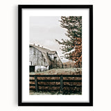 Farmhouse Wall Art: Weathered Barn and Autumn Tree, Rustic Country Decor