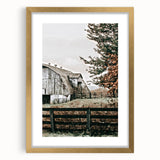 Farmhouse Wall Art: Weathered Barn and Autumn Tree, Rustic Country Decor