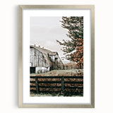 Farmhouse Wall Art: Weathered Barn and Autumn Tree, Rustic Country Decor
