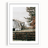 Farmhouse Wall Art: Weathered Barn and Autumn Tree, Rustic Country Decor