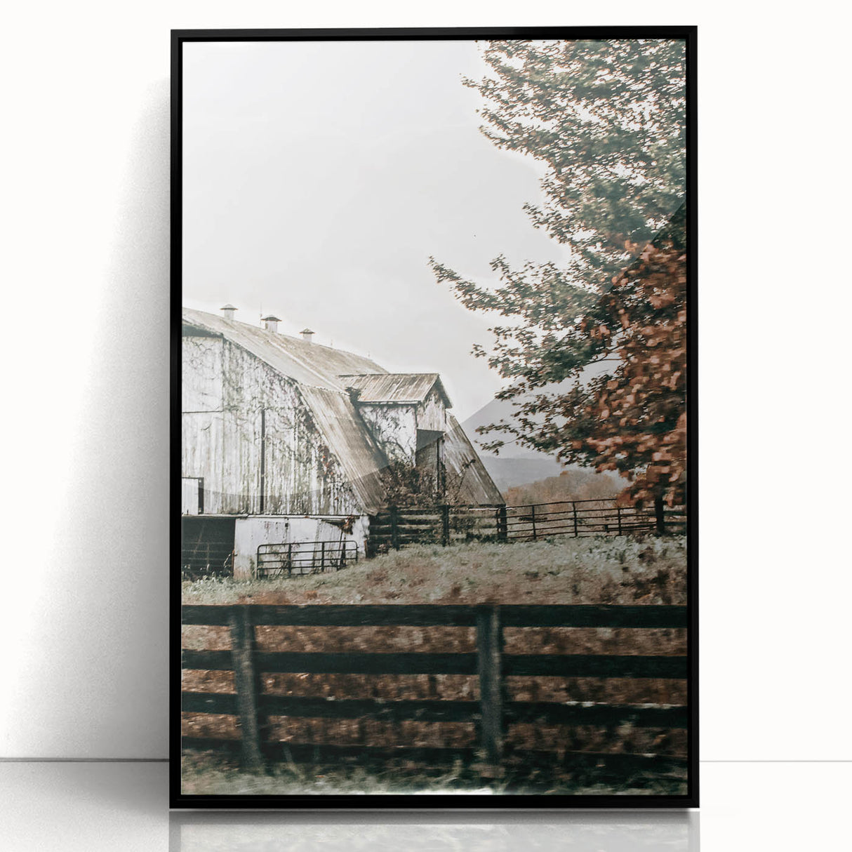 Farmhouse Wall Art: Weathered Barn and Autumn Tree, Rustic Country Decor