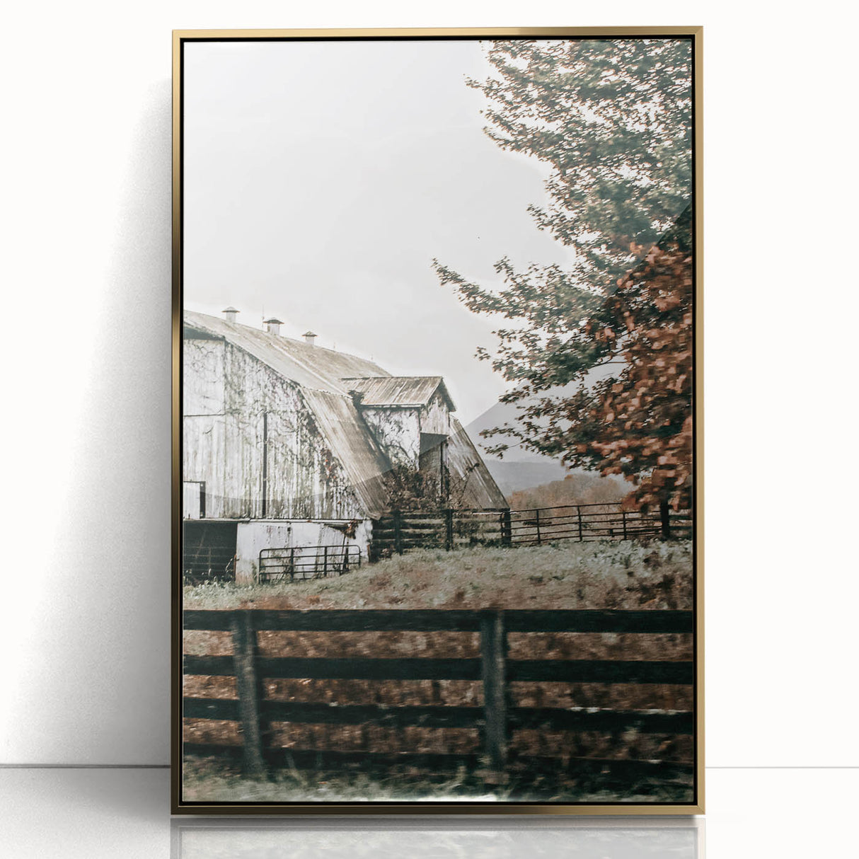 Farmhouse Wall Art: Weathered Barn and Autumn Tree, Rustic Country Decor