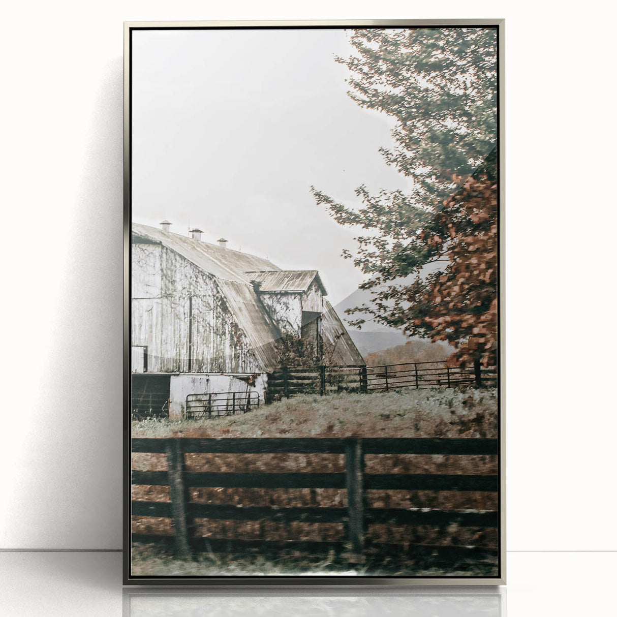 Farmhouse Wall Art: Weathered Barn and Autumn Tree, Rustic Country Decor