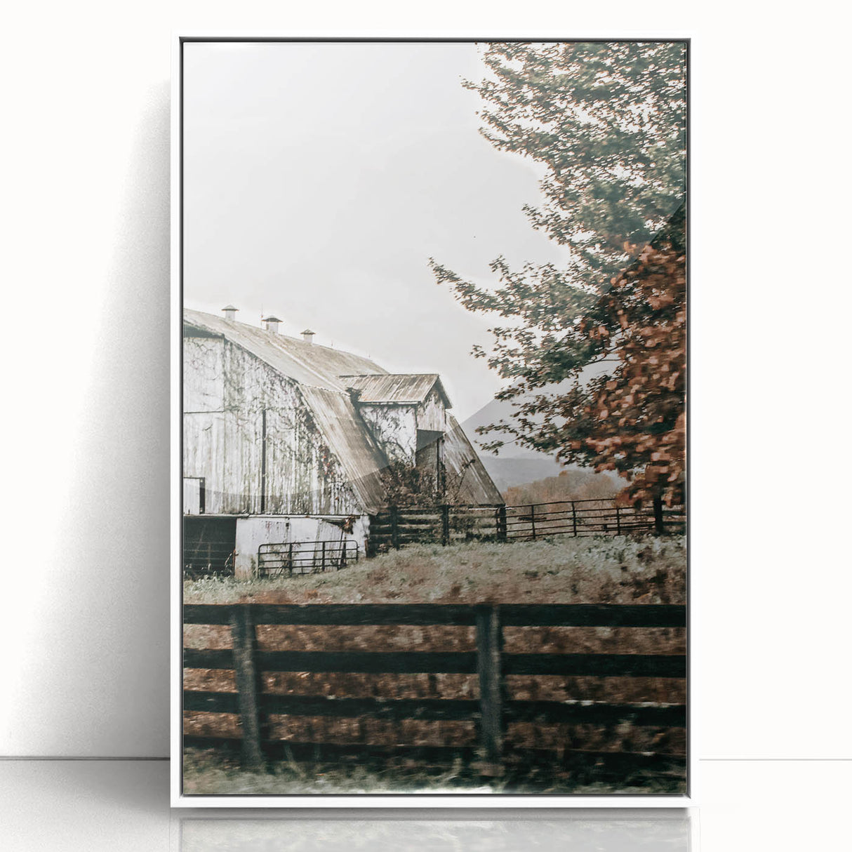 Farmhouse Wall Art: Weathered Barn and Autumn Tree, Rustic Country Decor