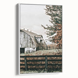 Farmhouse Wall Art: Weathered Barn and Autumn Tree, Rustic Country Decor