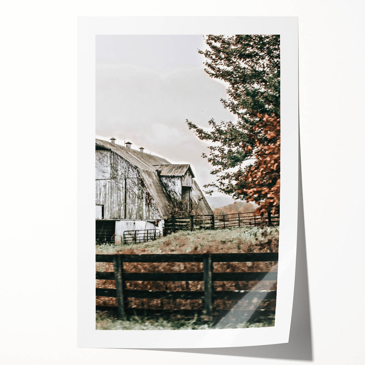 Farmhouse Wall Art: Weathered Barn and Autumn Tree, Rustic Country Decor