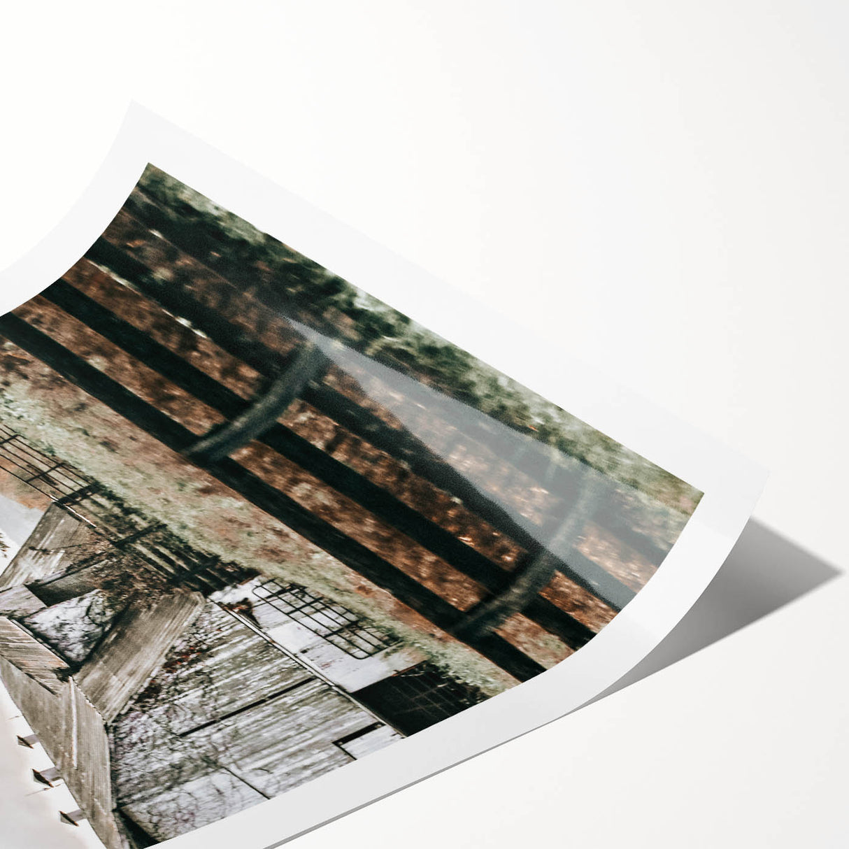 Farmhouse Wall Art: Weathered Barn and Autumn Tree, Rustic Country Decor