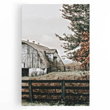 Farmhouse Wall Art: Weathered Barn and Autumn Tree, Rustic Country Decor