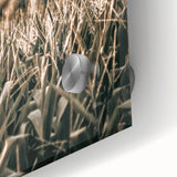 Farmhouse Wall Art: Golden Crops in the Field, Rustic Country Decor