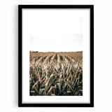 Farmhouse Wall Art: Golden Crops in the Field, Rustic Country Decor