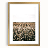 Farmhouse Wall Art: Golden Crops in the Field, Rustic Country Decor