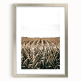 Farmhouse Wall Art: Golden Crops in the Field, Rustic Country Decor