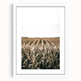 Farmhouse Wall Art: Golden Crops in the Field, Rustic Country Decor