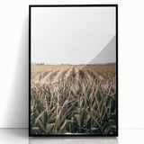 Farmhouse Wall Art: Golden Crops in the Field, Rustic Country Decor