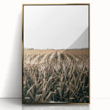 Farmhouse Wall Art: Golden Crops in the Field, Rustic Country Decor