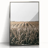 Farmhouse Wall Art: Golden Crops in the Field, Rustic Country Decor