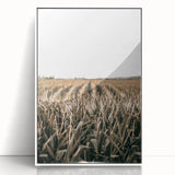 Farmhouse Wall Art: Golden Crops in the Field, Rustic Country Decor