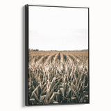 Farmhouse Wall Art: Golden Crops in the Field, Rustic Country Decor