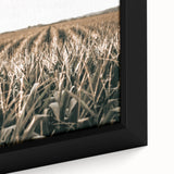 Farmhouse Wall Art: Golden Crops in the Field, Rustic Country Decor