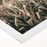 Farmhouse Wall Art: Golden Crops in the Field, Rustic Country Decor