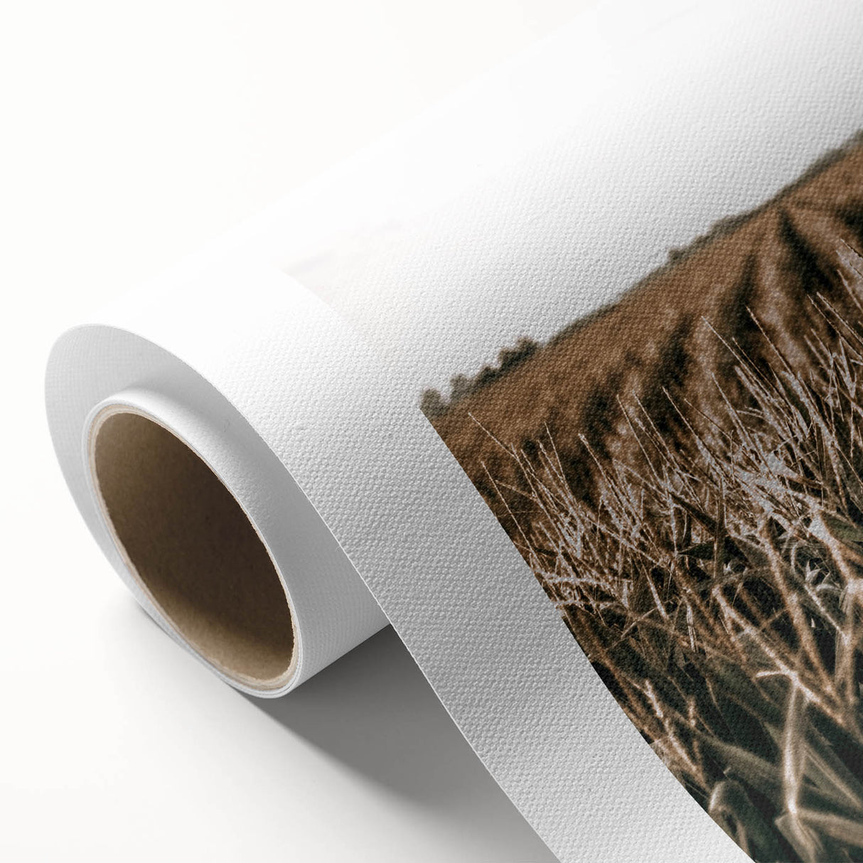 Farmhouse Wall Art: Golden Crops in the Field, Rustic Country Decor
