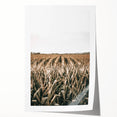 Farmhouse Wall Art: Golden Crops in the Field, Rustic Country Decor