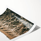 Farmhouse Wall Art: Golden Crops in the Field, Rustic Country Decor