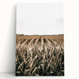 Farmhouse Wall Art: Golden Crops in the Field, Rustic Country Decor